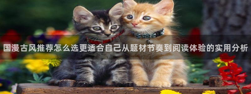 梦漫漫画搞笑漫画