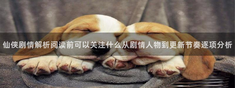 梦漫漫画软件功能