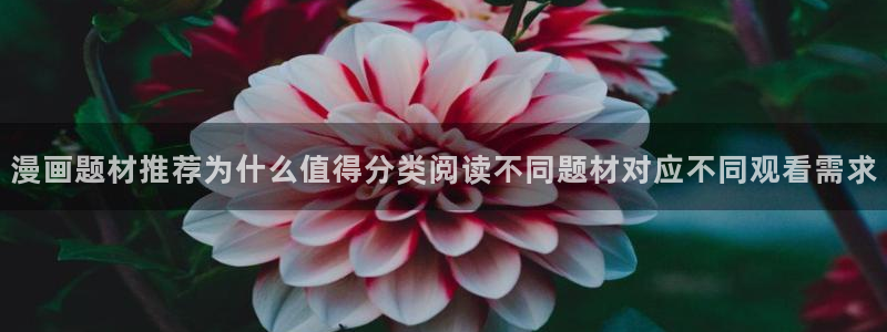 梦漫漫画作品排行榜:漫画题材推荐为什么值得分类阅读不同题材对应不同观看需求