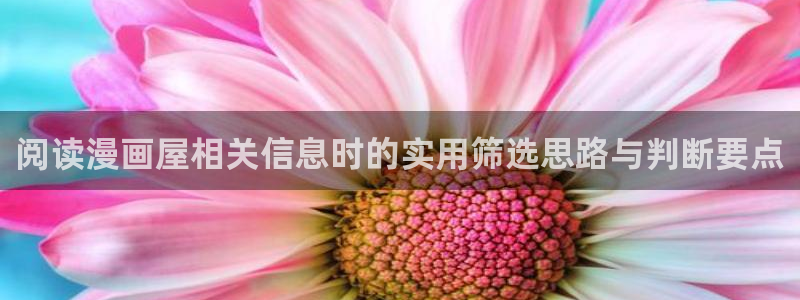 梦漫漫画完结漫画推荐:阅读漫画屋相关信息时的实用筛选思路与判断要点