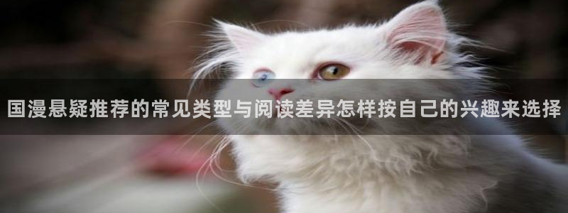 梦漫漫画在线看漫画:国漫悬疑推荐的常见类型与阅读差异怎样按自己的兴趣来选择