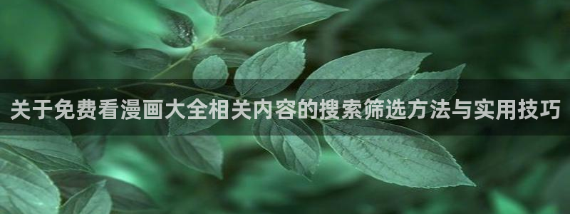 梦漫漫画热门连载漫画:关于免费看漫画大全相关内容的搜索筛选方法与实用技巧