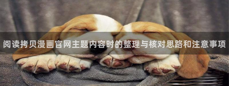 梦漫漫画热门漫画排行：阅读拷贝漫画官网主题内容时的整理与核对思路和注意事项