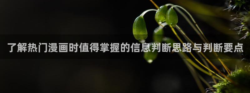 梦漫漫画软件